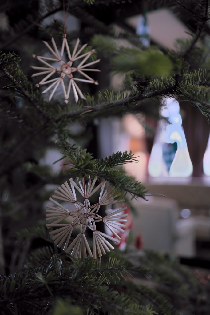 クリスマスツリー