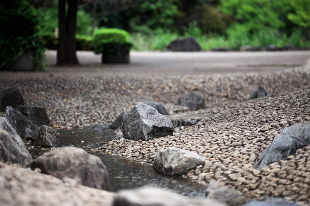 池端の公園