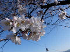 2015/03/28現在
