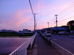 Velvia