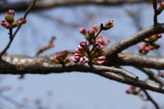 3/22時点