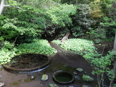 水