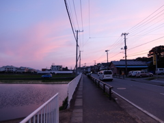 PROVIA