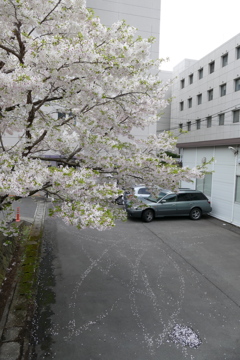 跡