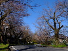 ちらほら