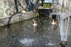 水辺