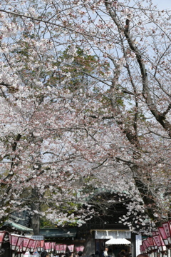神へと続く道