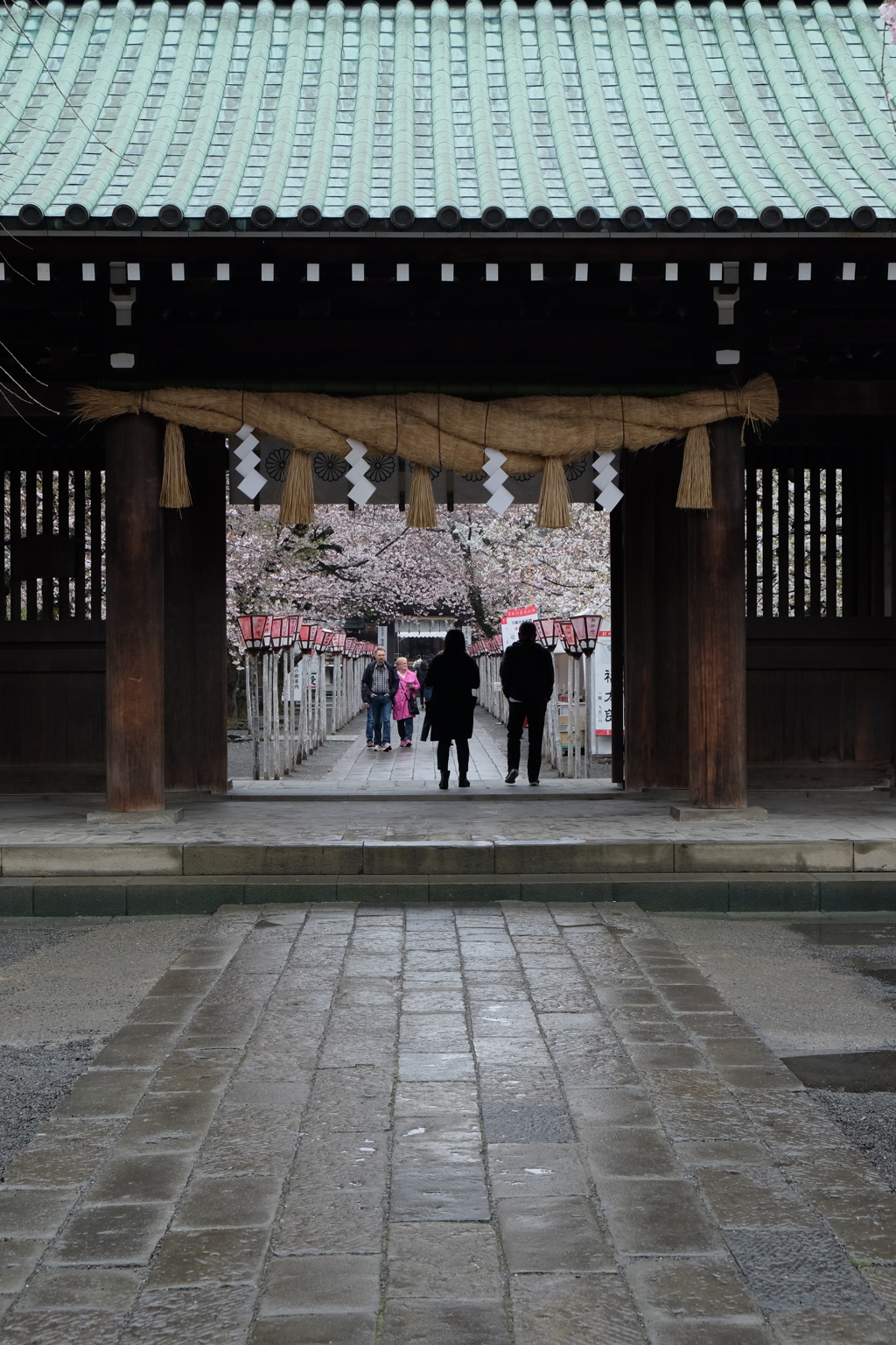 桜