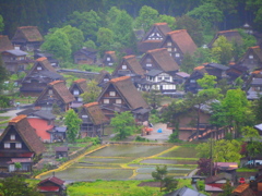 白川郷５月２６日