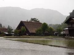 雨の白川郷