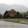 雨の白川郷