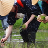 白川郷田植え早乙女さん