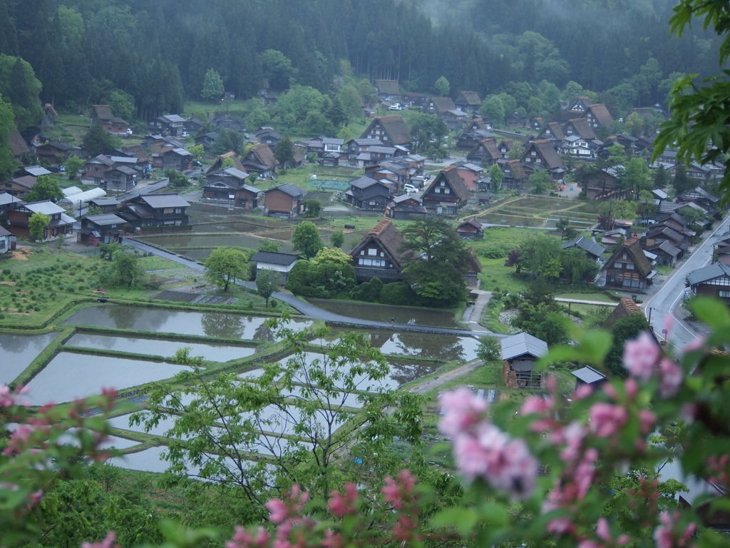 白川郷展望台２