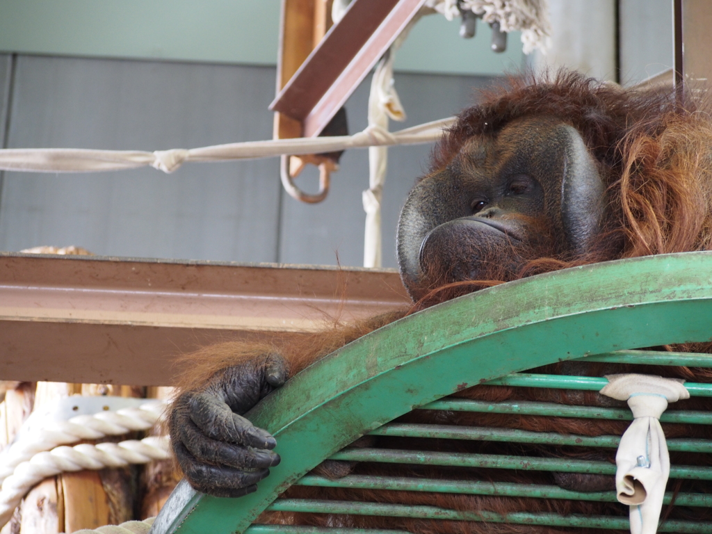 つまらなさそうな表情