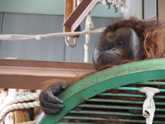 つまらなさそうな表情