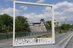 AMAZING TOYAMA
