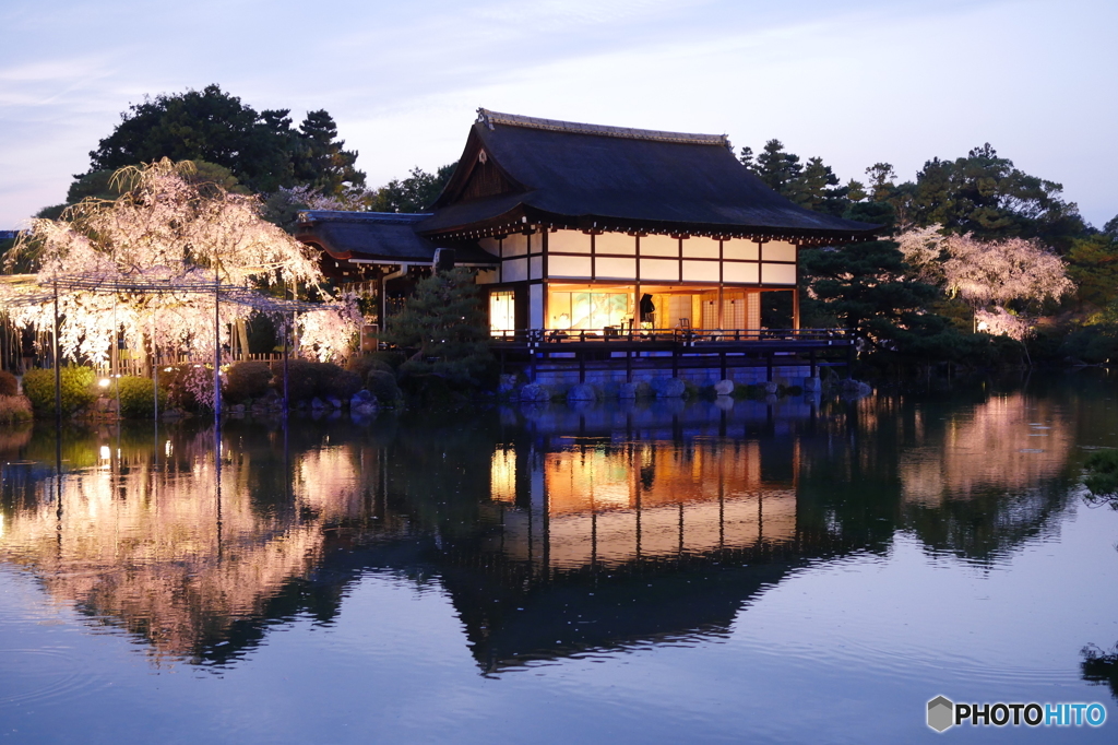 「枝垂れ桜」舞台