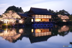 「枝垂れ桜」舞台