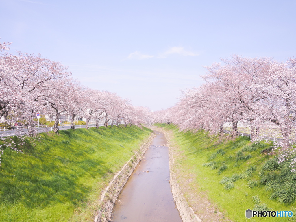 春の小川
