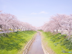 春の小川