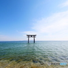 湖中鳥居