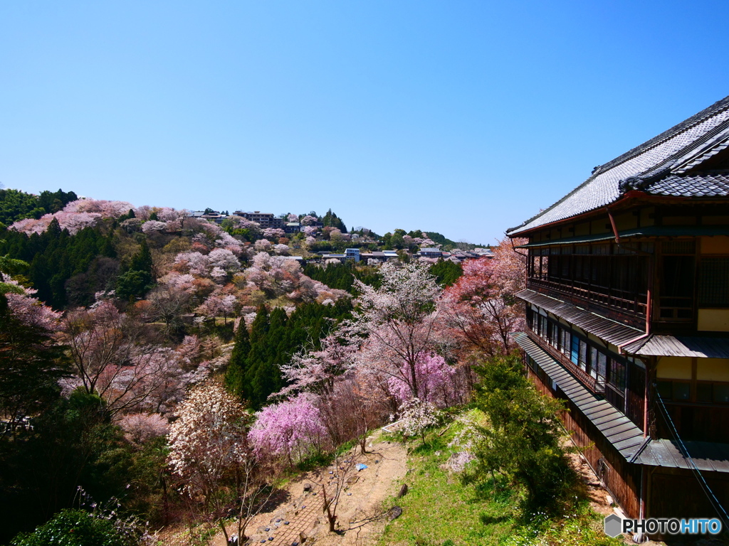 桜源郷の小屋（如意輪寺）