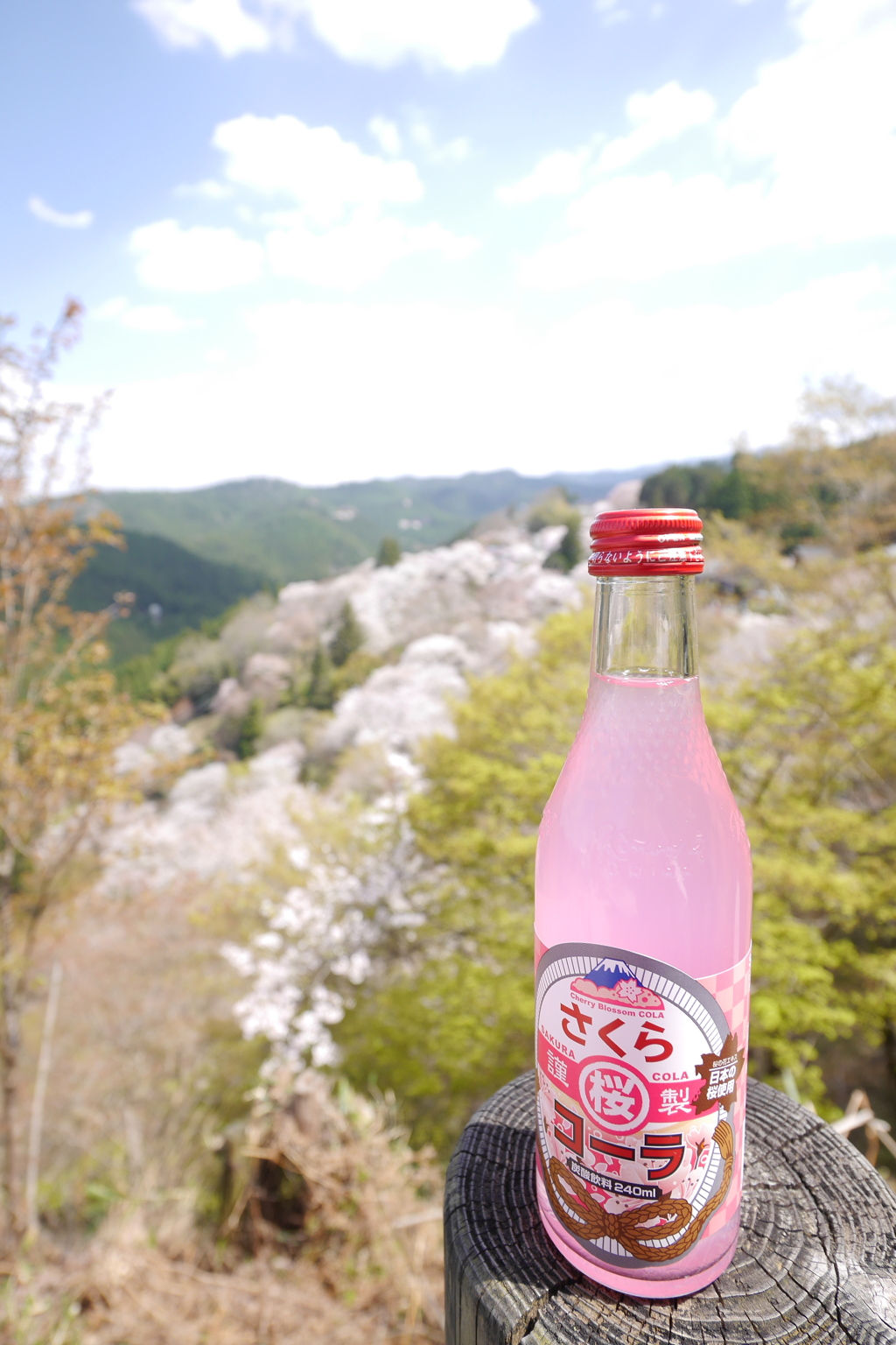 さくらコーラ