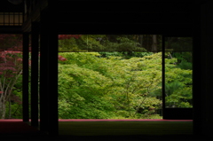 京都・天授庵