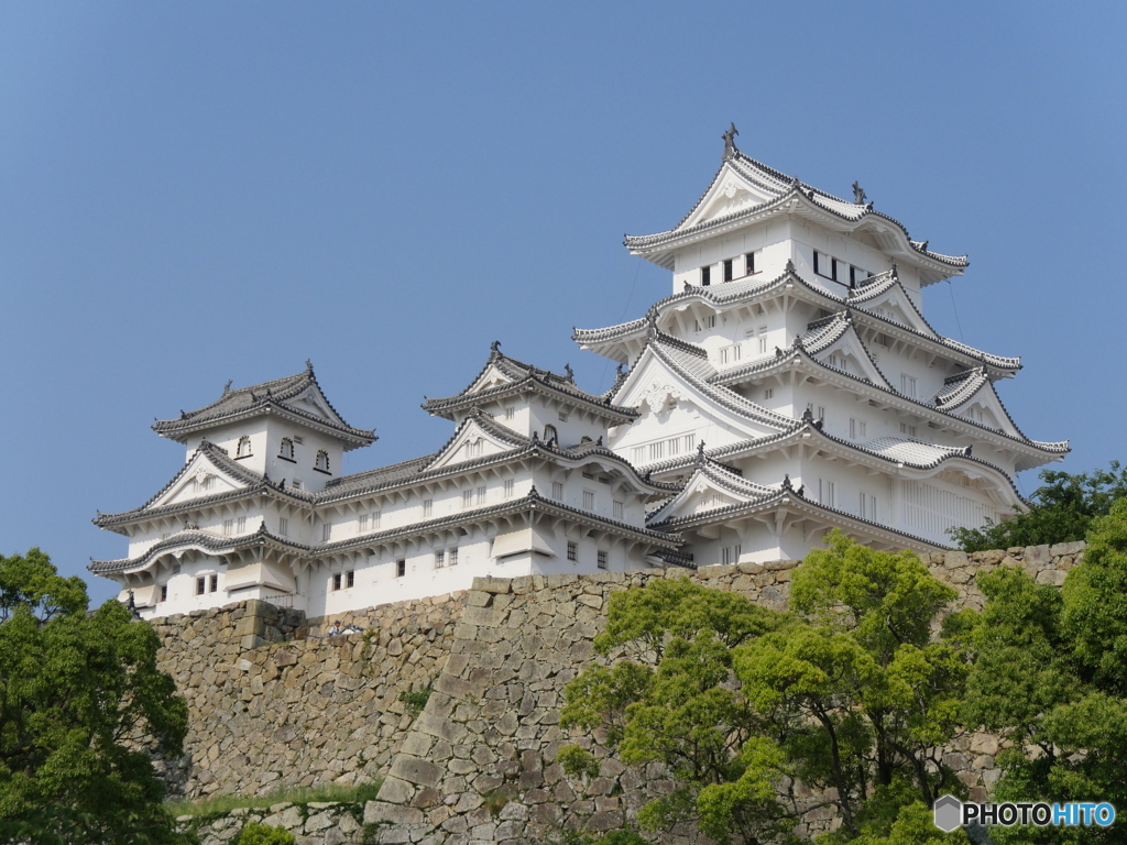 色白やね