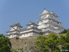 色白やね