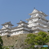 色白やね