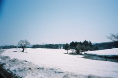 四月の雪
