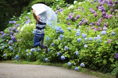 Jump