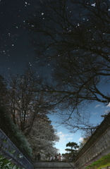 ひるまの星空