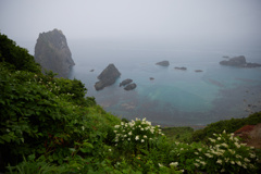 雨の島武意海岸