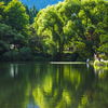 金鱗湖