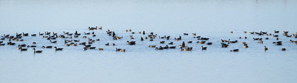 旅の途中でしばしの休憩