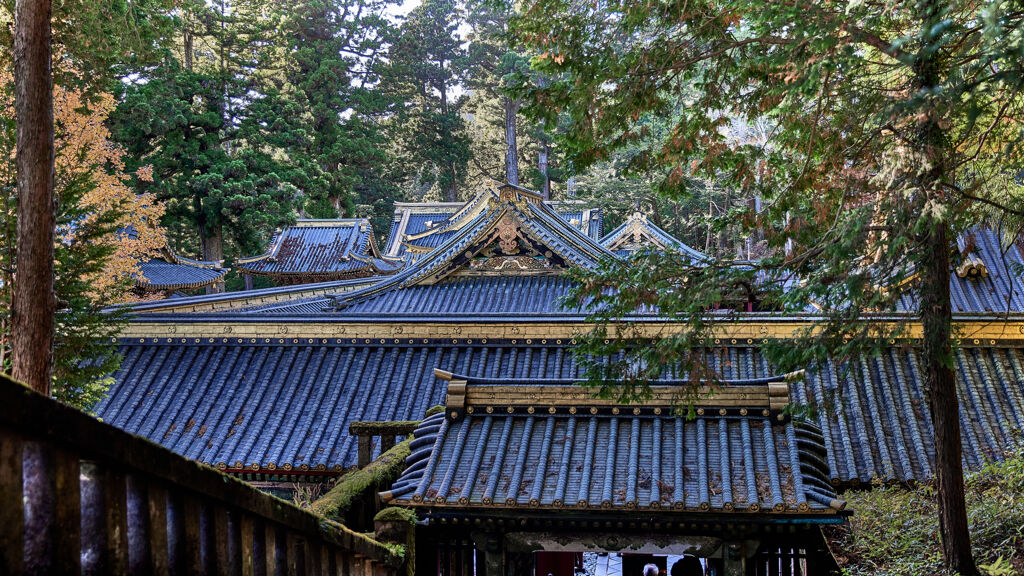 徳川の甍