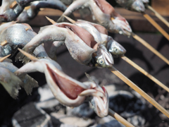 ヤマメ塩焼き