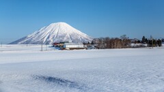 春を待つ大地