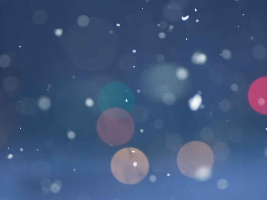降り始めた雪