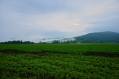 北海道夏風景：グリーングリーン