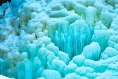 冬の宝石：Icicle cluster（氷柱房）