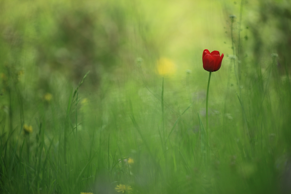 消えないように