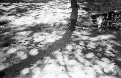雨上がりの光　１