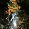 ripple