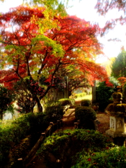 紅葉路 弐