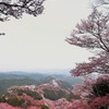 吉野山～花矢倉～②