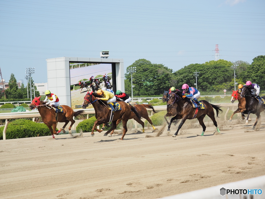 あおぞら競馬