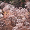 吉野山～奥千本～①
